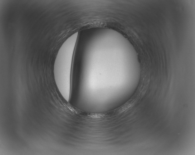 X0000054380432200507290902