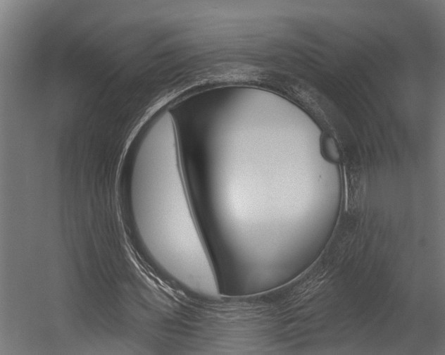 X0000054380435200507290901