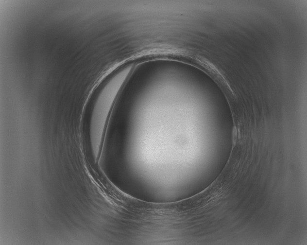 X0000054380436200507290901