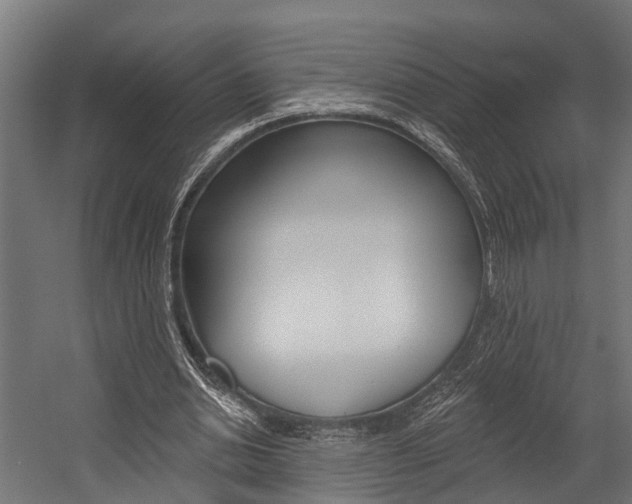 X0000054380438200507290901