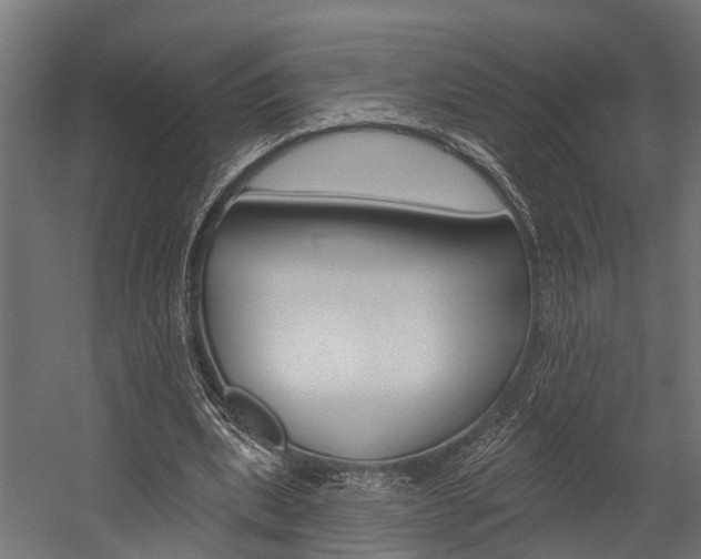 X0000054380439200507290901