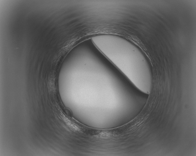 X0000054380441200507290901