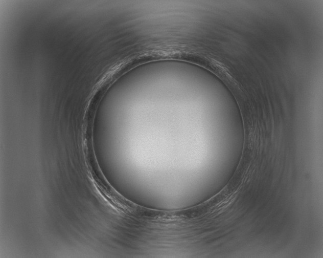X0000054380443200507290901