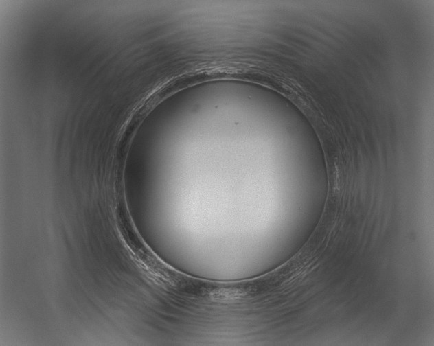 X0000054380444200507290901