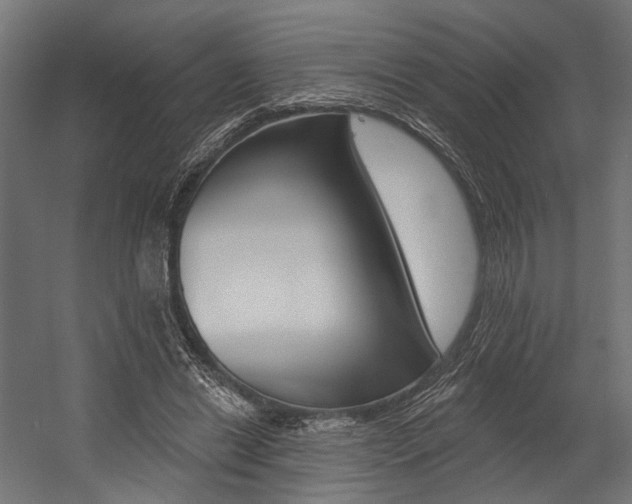 X0000054380446200507290901