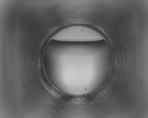 X0000054380447200507290901