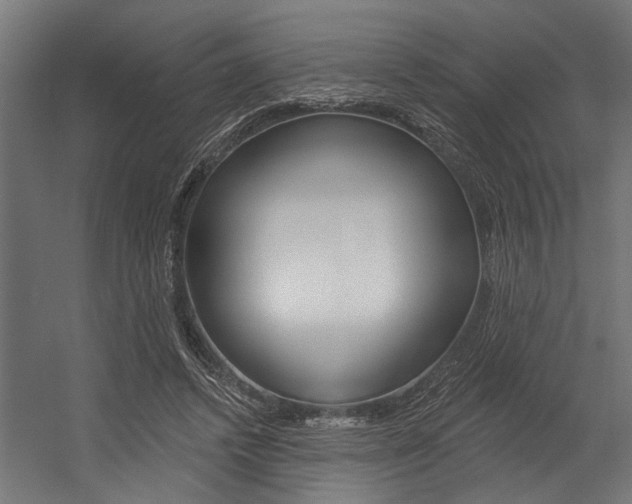 X0000054380448200507290901
