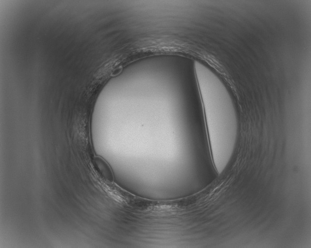 X0000054380449200507290901
