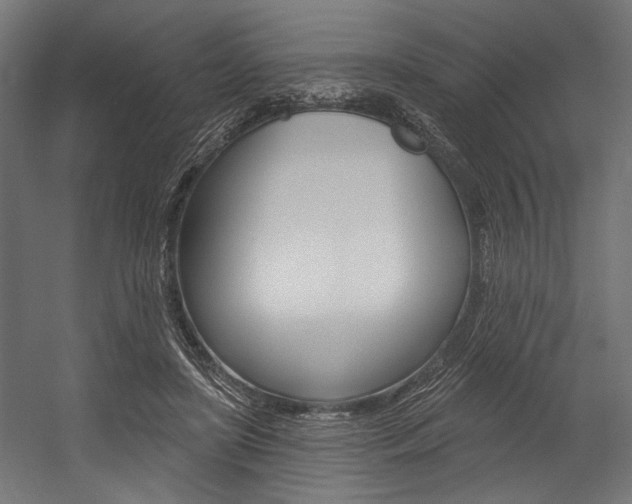 X0000054380451200507290901