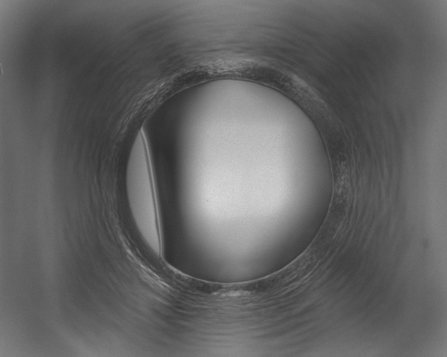 X0000054380452200507290901