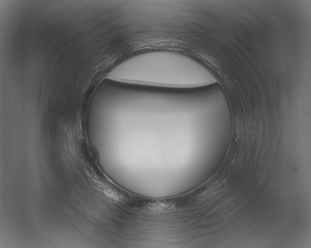 X0000054380453200507290901
