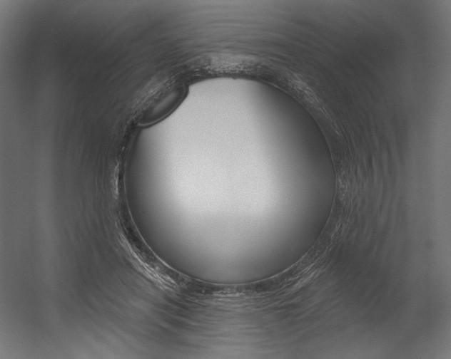 X0000054380454200507290901