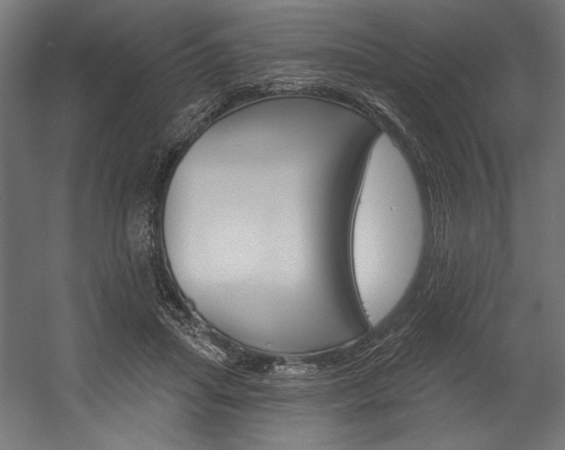 X0000054380455200507290901