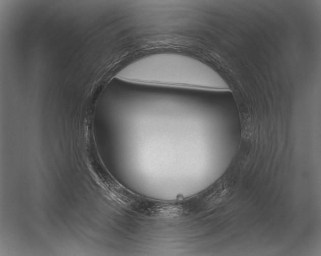 X0000054380456200507290901