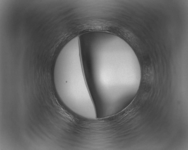 X0000054380457200507290901