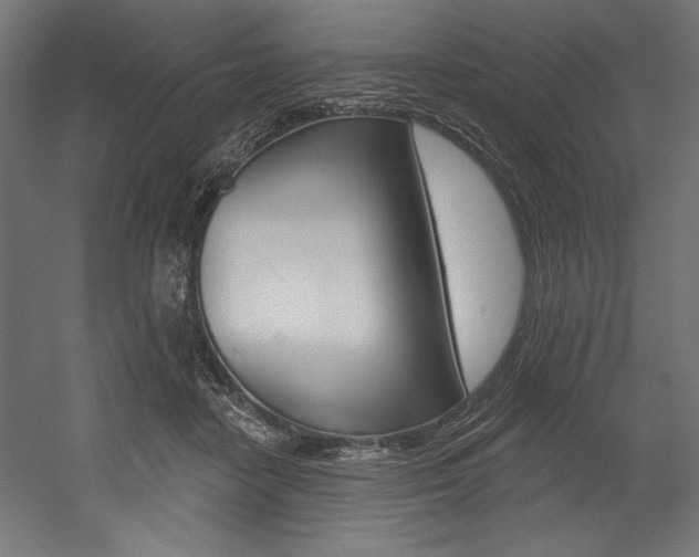X0000054380458200507290901