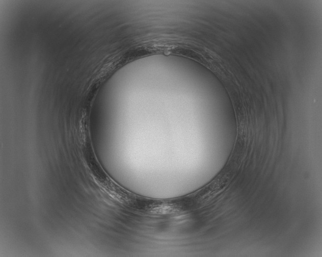 X0000054380460200507290901
