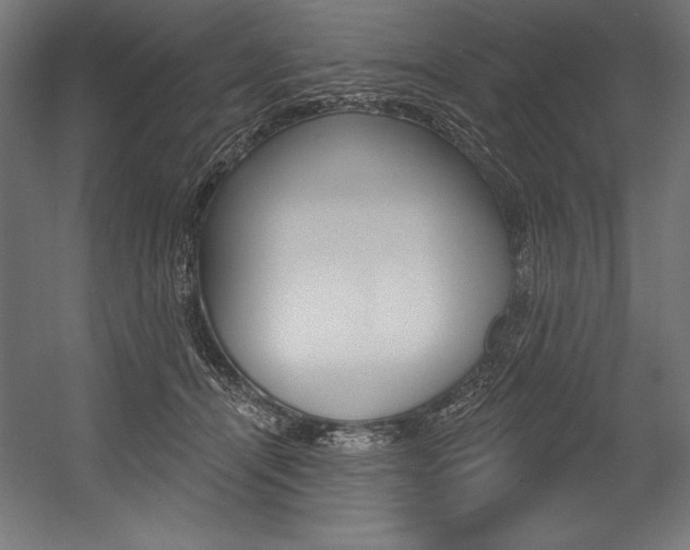 X0000054380464200507290901
