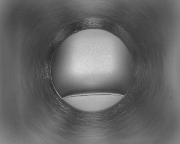 X0000054380465200507290901