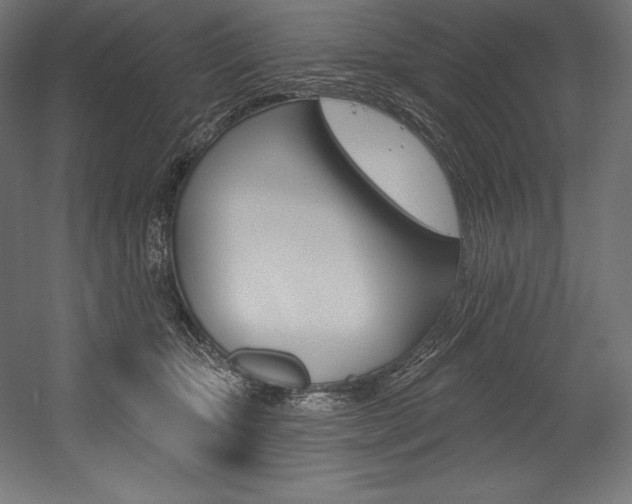 X0000054380467200507290901