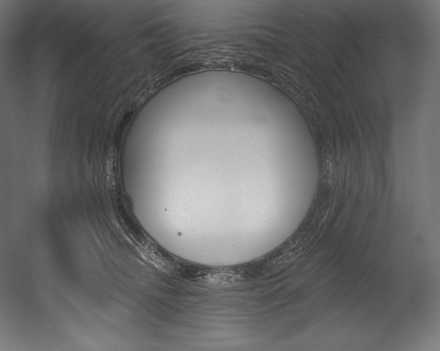 X0000054380468200507290901