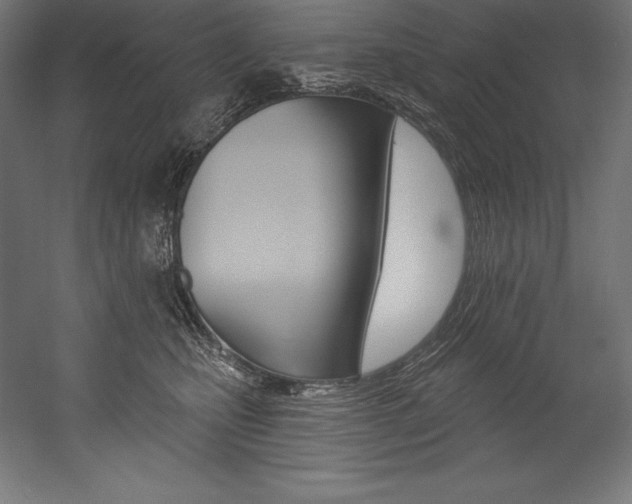 X0000054380471200507290901