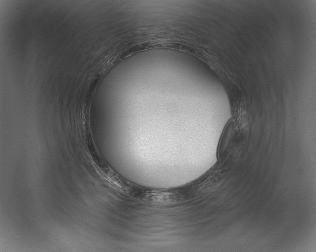 X0000054380472200507290901