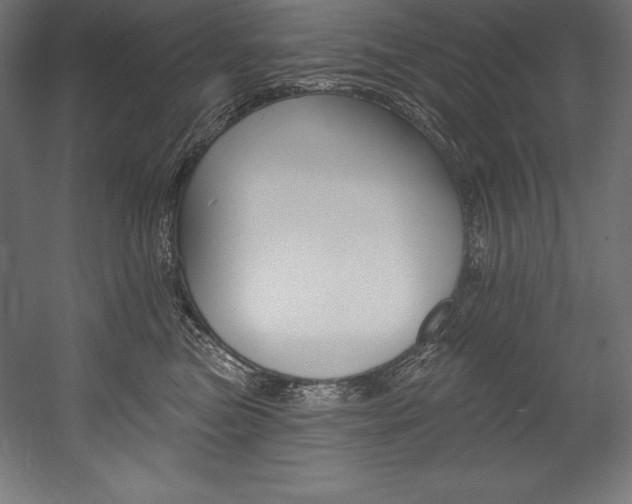X0000054380473200507290901
