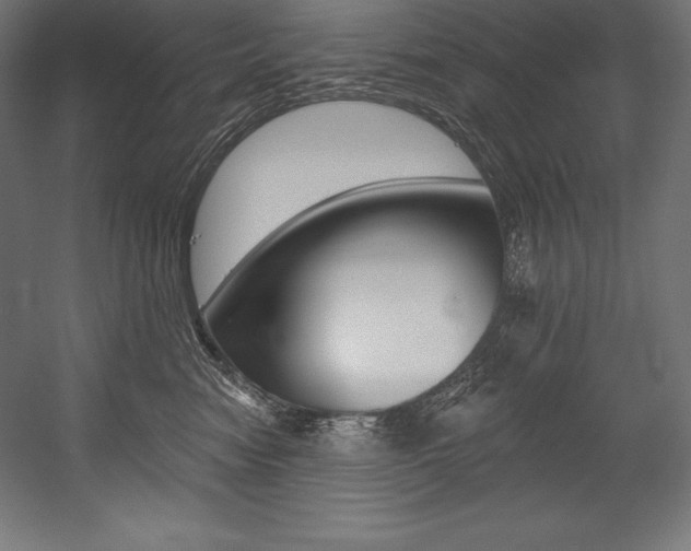 X0000054380474200507290901