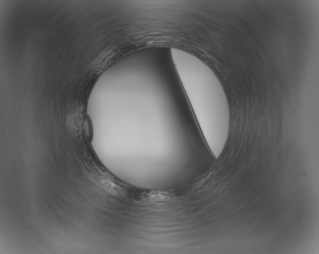 X0000054380475200507290901