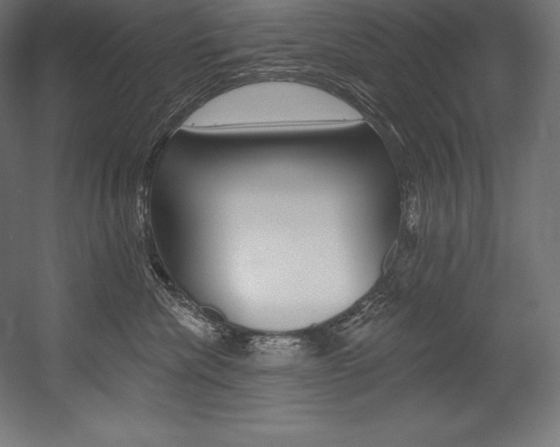 X0000054380476200507290901