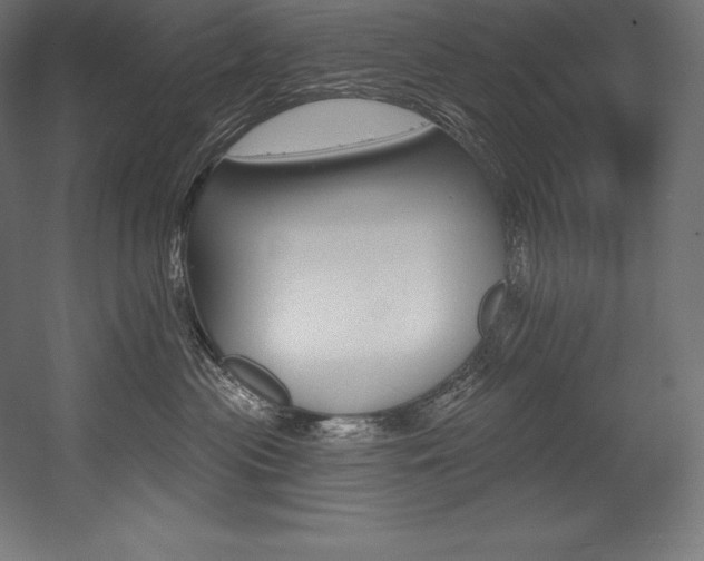 X0000054380477200507290901