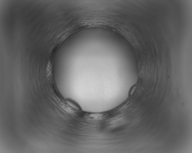 X0000054380478200507290902