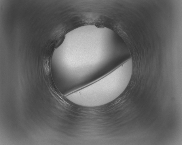 X0000054380479200507290902