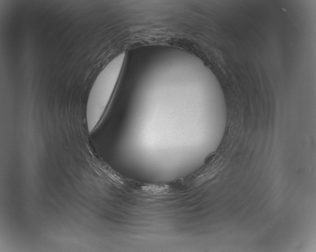X0000054380480200507290902