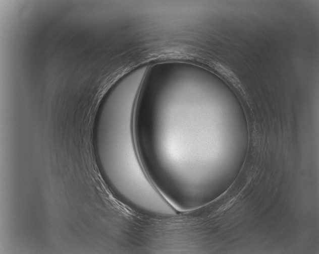 X0000054380481200507290901