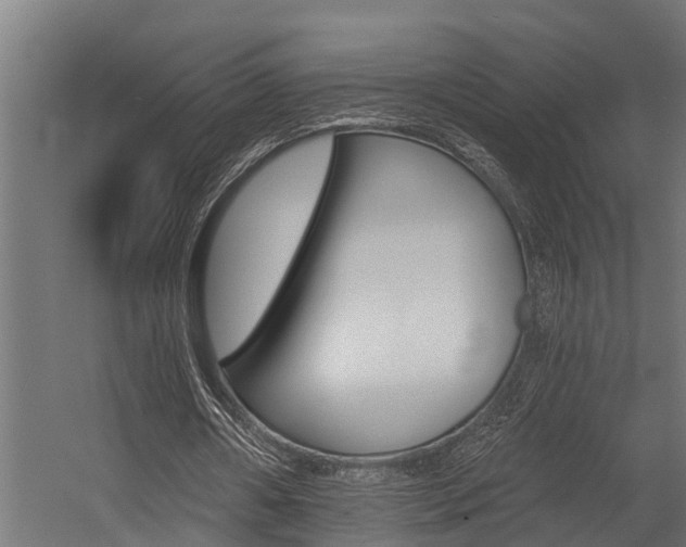 X0000054380482200507290901