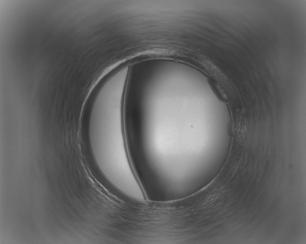 X0000054380484200507290901