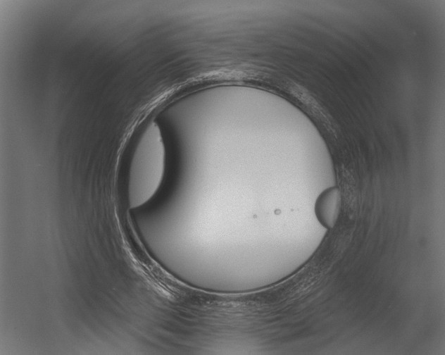 X0000054380486200507290901