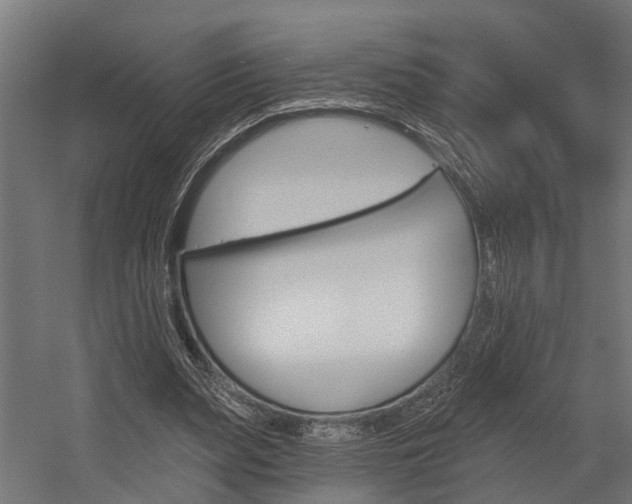 X0000054380487200507290901