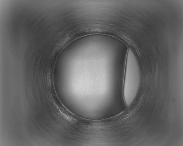 X0000054380489200507290901