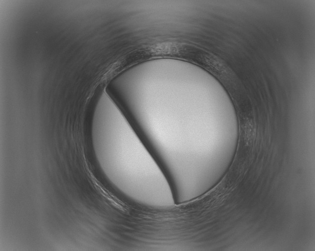 X0000054380490200507290901
