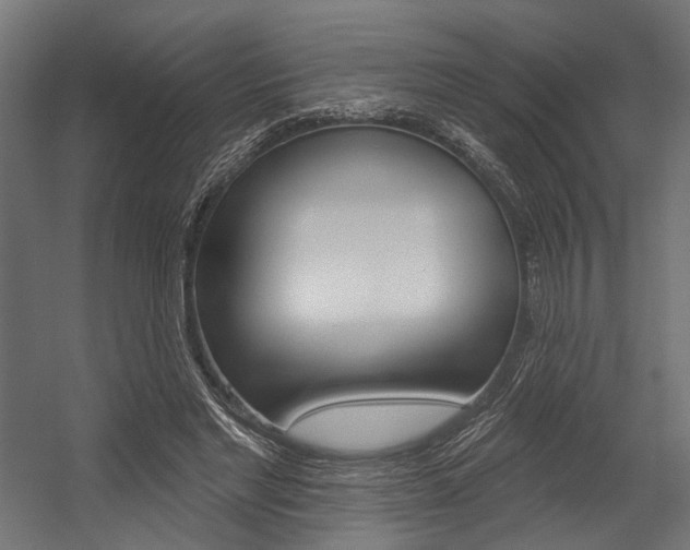 X0000054380493200507290901