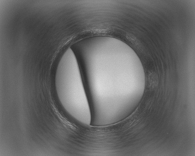 X0000054380494200507290901
