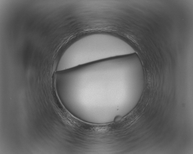 X0000054380495200507290901