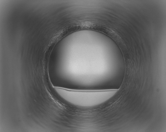 X0000054380496200507290900