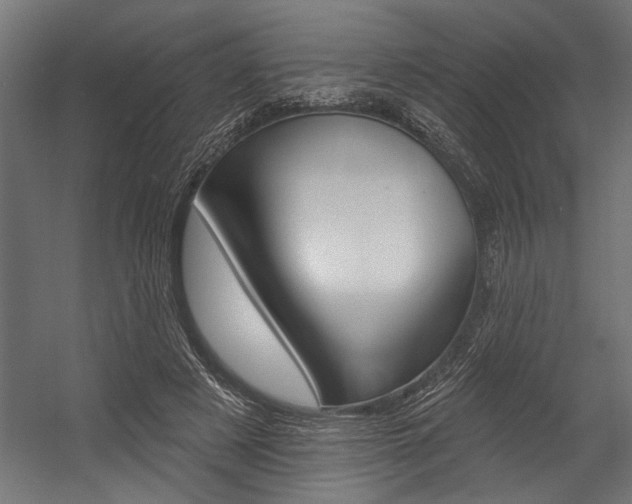 X0000054380497200507290900