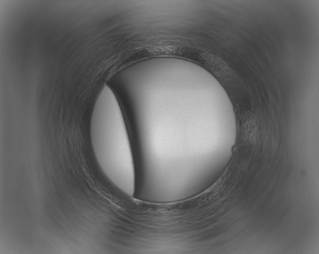 X0000054380498200507290900