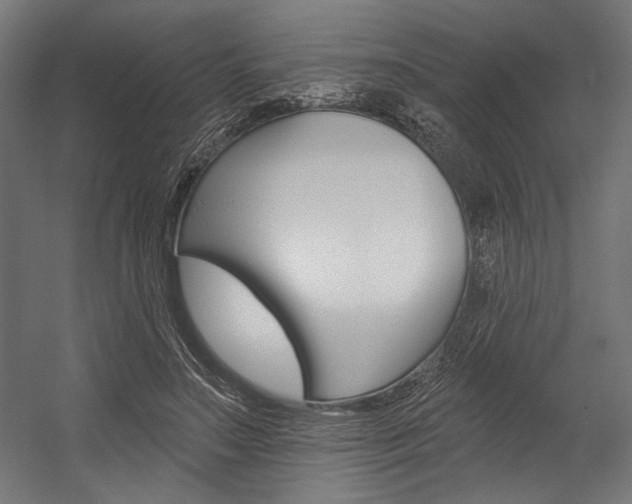 X0000054380499200507290900