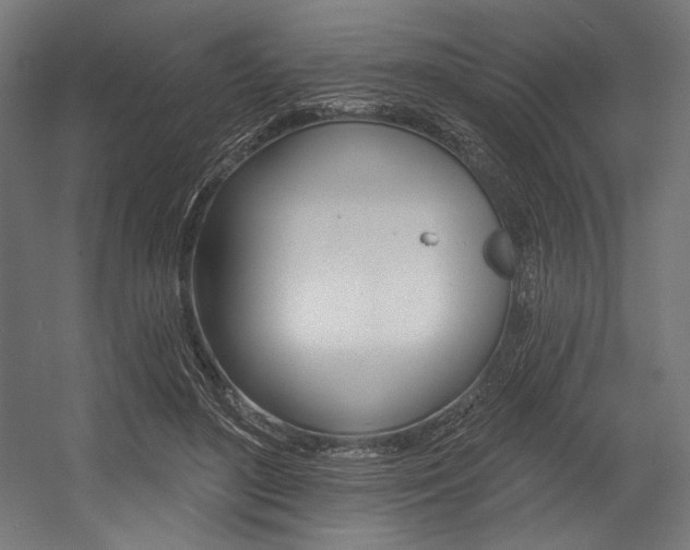 X0000054380500200507290900